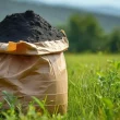 Biochar A Priceless Resource for Eco-Friendly Landscaping